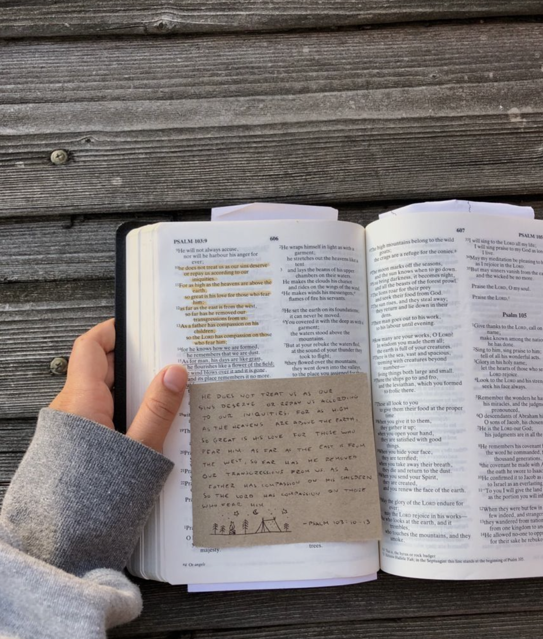 DAILY BIBLE READING: